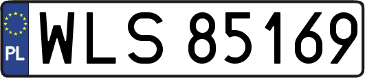WLS85169