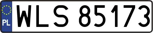 WLS85173