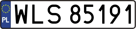 WLS85191