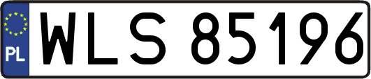 WLS85196