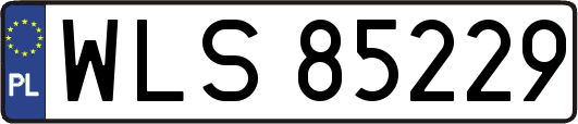 WLS85229