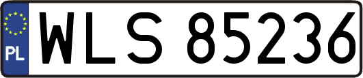 WLS85236