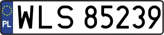 WLS85239