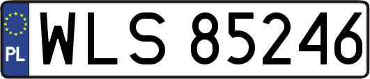 WLS85246