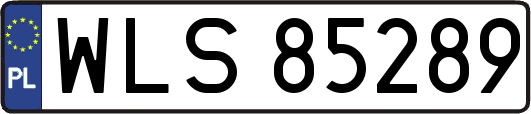 WLS85289