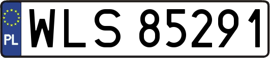 WLS85291