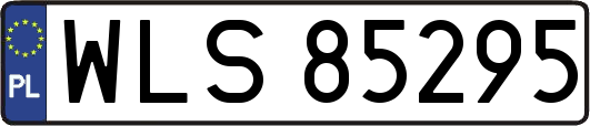 WLS85295
