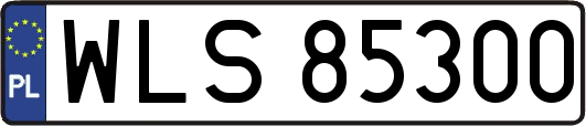 WLS85300