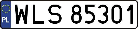 WLS85301