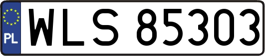 WLS85303