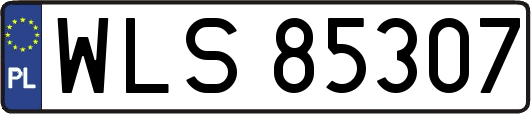 WLS85307