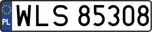 WLS85308
