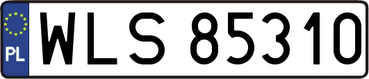 WLS85310