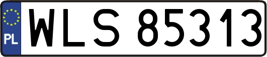 WLS85313