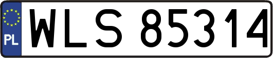 WLS85314