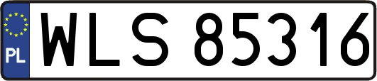 WLS85316