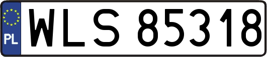 WLS85318
