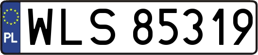 WLS85319