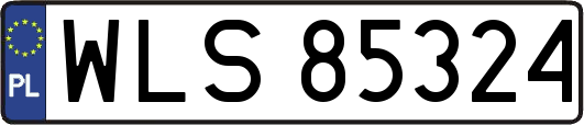 WLS85324