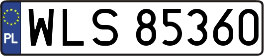 WLS85360