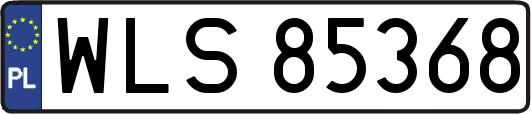 WLS85368