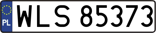 WLS85373