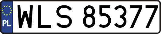 WLS85377