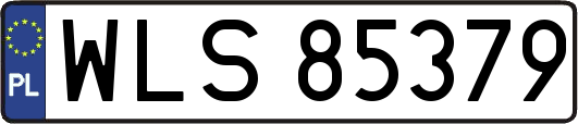 WLS85379