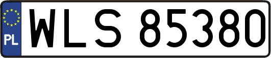 WLS85380