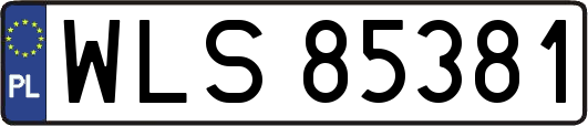 WLS85381