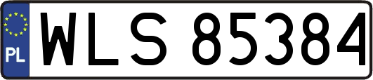 WLS85384