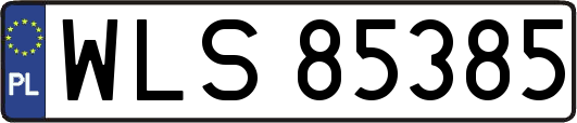 WLS85385