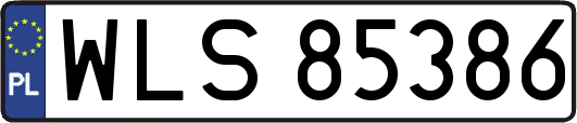 WLS85386