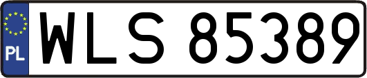 WLS85389