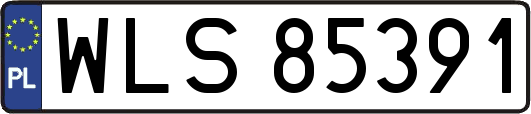 WLS85391