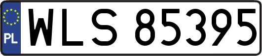 WLS85395
