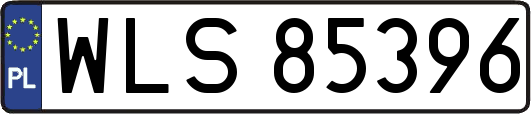 WLS85396