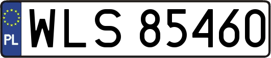WLS85460
