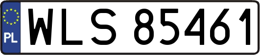WLS85461