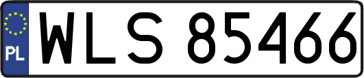 WLS85466