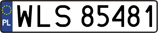 WLS85481