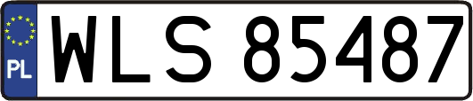 WLS85487