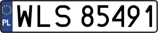 WLS85491