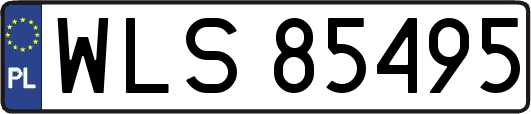 WLS85495
