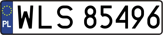 WLS85496
