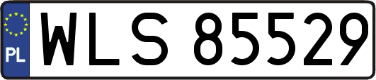 WLS85529