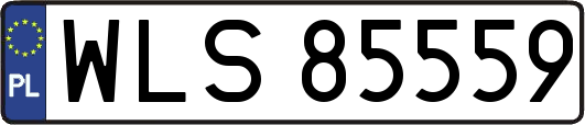 WLS85559