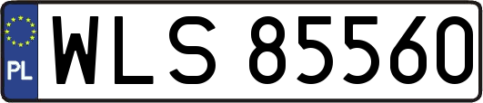 WLS85560