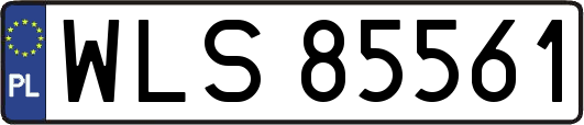 WLS85561