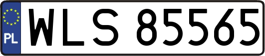 WLS85565